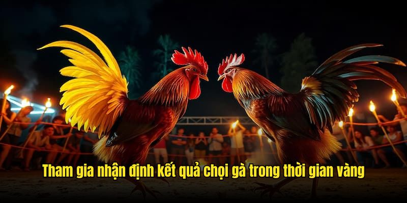 Tham gia nhận định kết quả chọi gà trong thời gian vàng