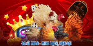 Đá Gà Vn88 - Nghẹt Thở Với Những Trận Đấu Hấp Dẫn 2025