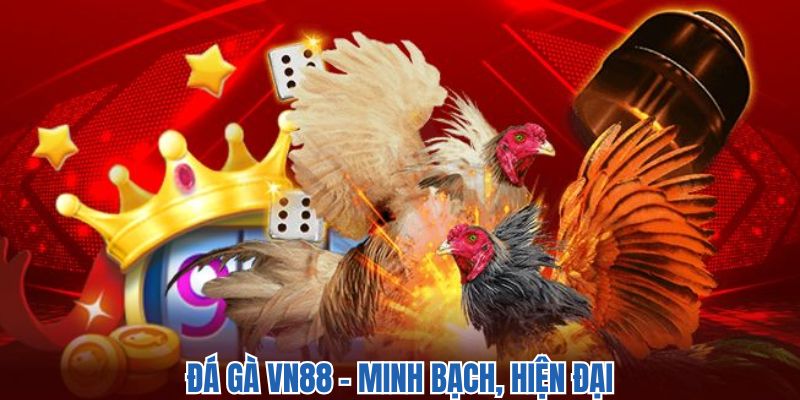 Đá Gà Vn88 - Nghẹt Thở Với Những Trận Đấu Hấp Dẫn 2025
