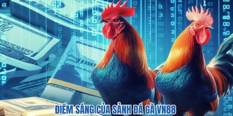 Điểm sáng giúp hội viên tin tưởng tham gia đặt cược các trận đá gà tại vn88