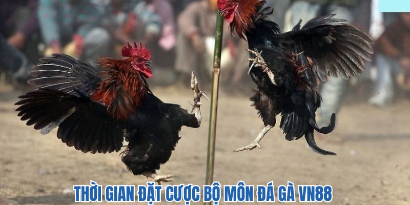 Nắm vững thời gian để không bỏ lỡ cơ hội tham gia