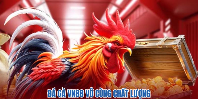 Sân chơi đá gà vn88 vô cùng chất lượng