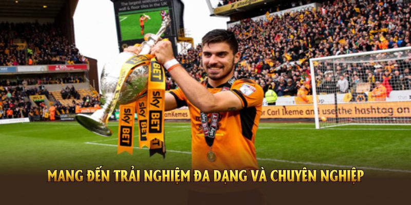 Thể thao VN88 mang đến trải nghiệm đa dạng và chuyên nghiệp