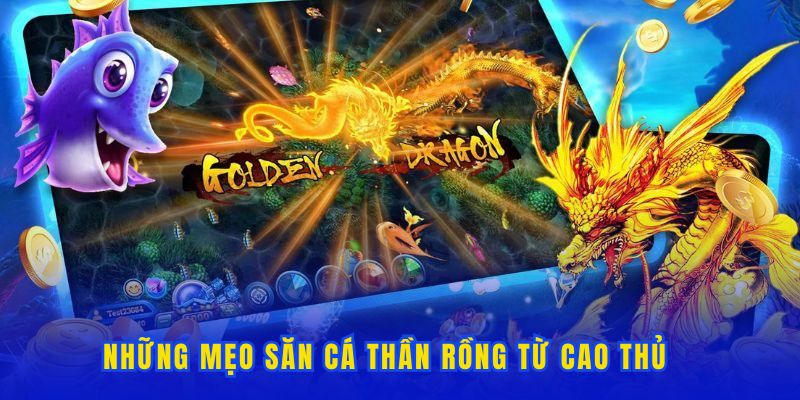 Những bí quyết săn boss thần rồng hiệu quả